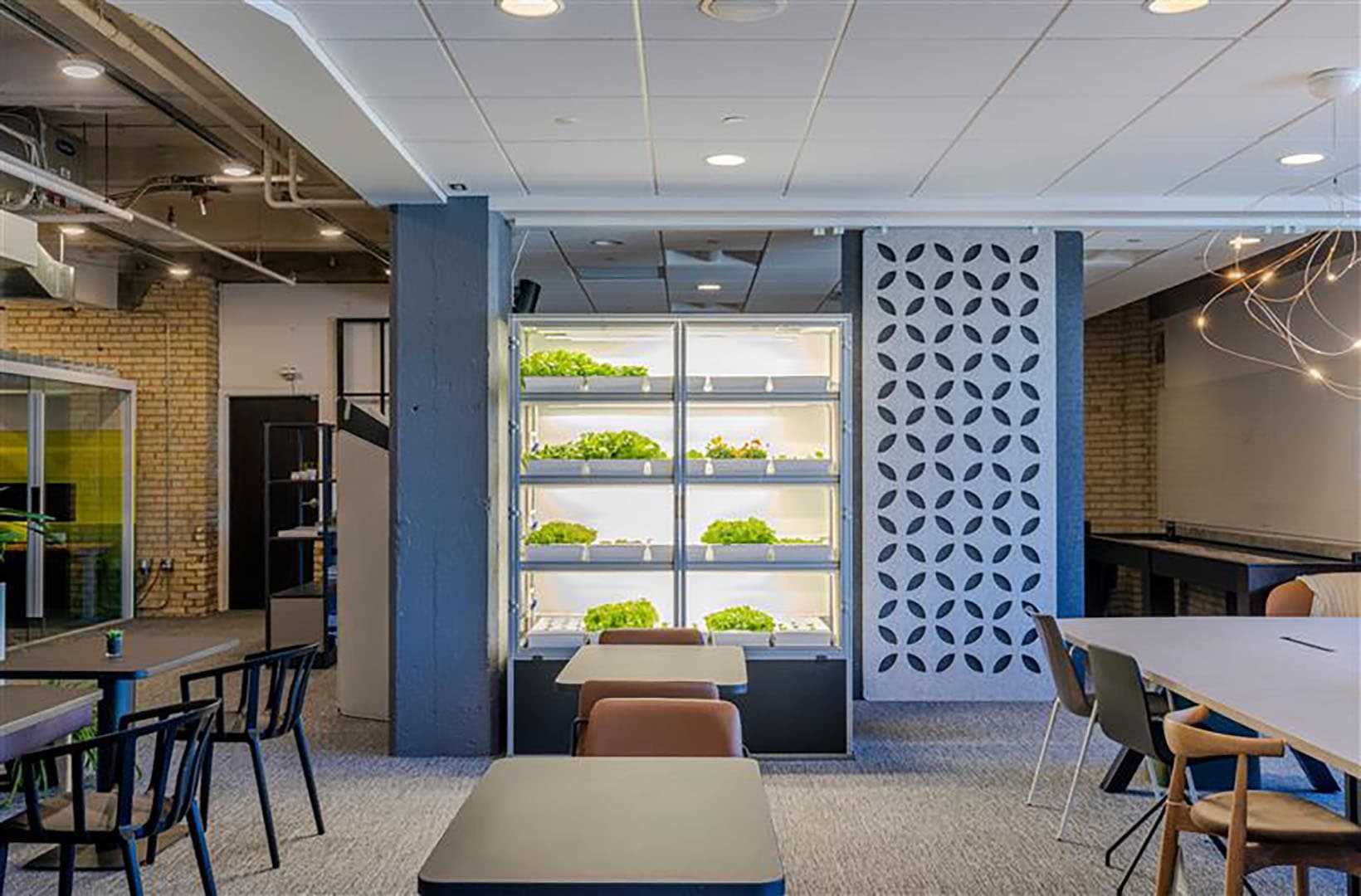 Custer office offerings